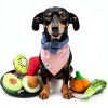 Dog Squeaky Toy Nocciola Soft Plush Pack 15-6