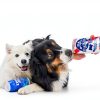 Dog Squeak Toy Nestpark 5.5in Plush Fun Toy-6