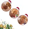 Dog Squeaky Toy Nocciola Soft Plush Pack 15-5