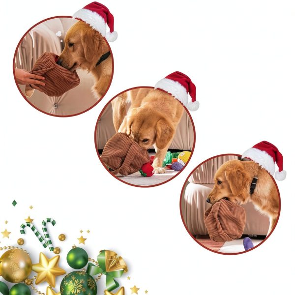 Dog Squeaky Toy Nocciola Soft Plush Pack 15-5